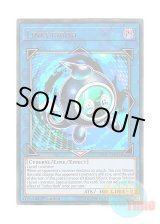 画像: 英語版 AC19-EN011 Linkuriboh リンクリボー (ウルトラレア) 1st Edition