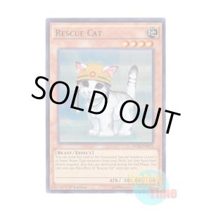 画像: 英語版 DUSA-EN072 Rescue Cat レスキューキャット (ウルトラレア) 1st Edition
