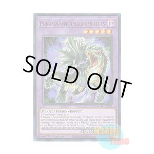 画像: 英語版 MAMA-EN065 Predaplant Ambulomelides 捕食植物アンブロメリドゥス (ウルトラレア) 1st Edition