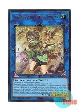 画像: 英語版 CH02-EN045 Aussa the Earth Charmer, Immovable 崔嵬の地霊使いアウス (ウルトラレア) 1st Edition