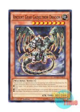 画像: 英語版 SDGR-EN013 Ancient Gear Gadjiltron Dragon 古代の機械巨竜 (ノーマル) 1st Edition
