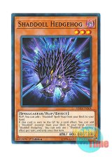 画像: 英語版 SDSH-EN005 Shaddoll Hedgehog シャドール・ヘッジホッグ (ノーマル) 1st Edition