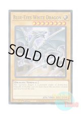 画像: 英語版 SDWD-EN003 Blue-Eyes White Dragon 青眼の白龍 (ノーマル) 1st Edition