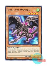 画像: 英語版 SR02-EN010 Red-Eyes Wyvern 真紅眼の飛竜 (ノーマル) 1st Edition