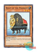 画像: 英語版 SR07-EN021 Beast of the Pharaoh ファラオの化身 (ノーマル) 1st Edition