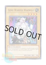 画像: 英語版 YS11-EN004 Gene-Warped Warwolf ジェネティック・ワーウルフ (ノーマル) 1st Edition
