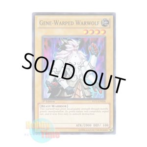 画像: 英語版 YS11-EN004 Gene-Warped Warwolf ジェネティック・ワーウルフ (ノーマル) 1st Edition
