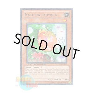 画像: 英語版 DT04-EN030 Naturia Ladybug ナチュル・レディバグ (ノーマル・パラレル)