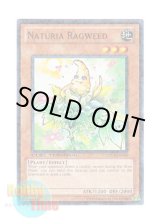 画像: 英語版 DT04-EN080 Naturia Ragweed ナチュル・ラグウィード (ノーマル・パラレル)