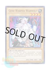 画像: 英語版 BP01-EN116 Gene-Warped Warwolf ジェネティック・ワーウルフ (ノーマル) 1st Edition