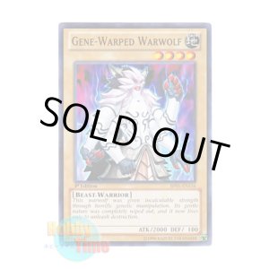 画像: 英語版 BP01-EN116 Gene-Warped Warwolf ジェネティック・ワーウルフ (ノーマル) 1st Edition