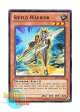 画像: 英語版 BP01-EN202 Shield Warrior シールド・ウォリアー (ノーマル) 1st Edition