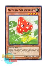 画像: 英語版 BP01-EN210 Naturia Strawberry ナチュル・ストロベリー (ノーマル) 1st Edition