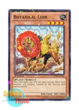画像: 英語版 BP01-EN145 Botanical Lion ボタニカル・ライオ (スターホイルレア) 1st Edition