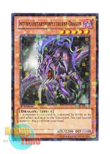 画像: 英語版 BP02-EN104 Interplanetarypurplythorny Dragon 異界の棘紫竜 (モザイクレア) 1st Edition