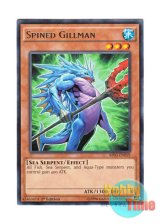 画像: 英語版 BP03-EN059 Spined Gillman ニードル・ギルマン (レア) 1st Edition