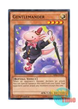 画像: 英語版 BP03-EN106 Gentlemander ジェントルーパー (ノーマル) 1st Edition