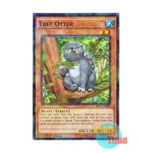 画像: 英語版 BP03-EN062 Tree Otter ラッコアラ (シャターホイルレア) 1st Edition