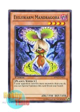 画像: 英語版 BPW2-EN051 Evilswarm Mandragora ヴェルズ・マンドラゴ (ノーマル) 1st Edition