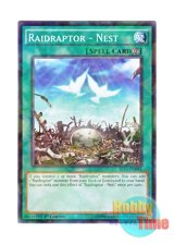 画像: 英語版 SP15-EN045 Raidraptor - Nest RR－ネスト (シャターホイルレア) 1st Edition