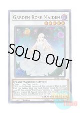 画像: 英語版 LED4-EN023 Garden Rose Maiden ガーデン・ローズ・メイデン (ウルトラレア) 1st Edition
