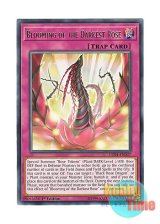 画像: 英語版 LED4-EN027 Blooming of the Darkest Rose 漆黒の薔薇の開華 (レア) 1st Edition