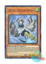 画像: 英語版 LED8-EN036 Lyrilusc - Celestine Wagtail LL－セレスト・ワグテイル (ウルトラレア) 1st Edition