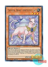 画像: 英語版 BLCR-EN048 Crystal Beast Amethyst Cat 宝玉獣 アメジスト・キャット (ウルトラレア) 1st Edition