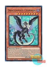 画像: 英語版 BLMM-EN048 Dragonmaid Cehrmba ドラゴンメイド・シュテルン (ウルトラレア) 1st Edition