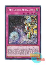 画像: 英語版 BLMM-EN177 True Draco Apocalypse 真竜の黙示録 (シークレットレア) 1st Edition