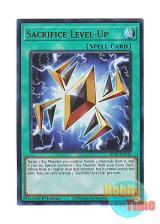 画像: 英語版 BLTR-EN034 Sacrifice Level-Up サクリファイス・ランクアップ (ウルトラレア) 1st Edition