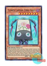 画像: 英語版 DRL3-EN032 Flower Cardian Zebra Grass 花札衛－芒－ (ウルトラレア) 1st Edition