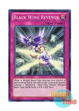 画像: 英語版 DRLG-EN031 Black Wing Revenge ブラック・リベンジ (スーパーレア) 1st Edition