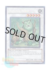 画像: 英語版 HA02-EN026 Naturia Beast ナチュル・ビースト (シークレットレア) 1st Edition