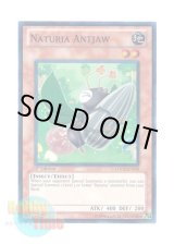 画像: 英語版 HA02-EN039 Naturia Antjaw ナチュル・アントジョー (スーパーレア) 1st Edition