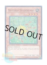 画像: 英語版 HA02-EN040 Naturia Spiderfang ナチュル・スパイダーファング (スーパーレア) 1st Edition