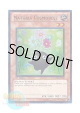 画像: 英語版 HA02-EN042 Naturia Cosmobeet ナチュル・コスモスビート (スーパーレア) 1st Edition