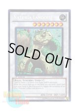 画像: 英語版 HA04-EN030 Naturia Landoise ナチュル・ランドオルス (シークレットレア) 1st Edition