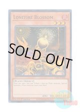 画像: 英語版 RA01-EN002 Lonefire Blossom ローンファイア・ブロッサム (スーパーレア) 1st Edition