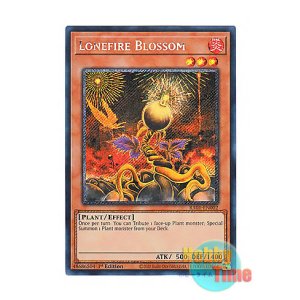 画像: 英語版 RA01-EN002 Lonefire Blossom ローンファイア・ブロッサム (プラチナシークレットレア) 1st Edition