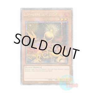 画像: 英語版 RA01-EN002 Lonefire Blossom ローンファイア・ブロッサム (クォーターセンチュリーシークレットレア) 1st Edition