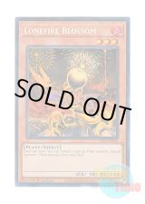 画像: 英語版 RA01-EN002 Lonefire Blossom ローンファイア・ブロッサム (シークレットレア) 1st Edition