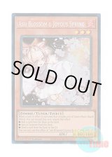 画像: 英語版 RA01-EN008 Ash Blossom & Joyous Spring 灰流うらら (プリズマティックコレクターズレア) 1st Edition
