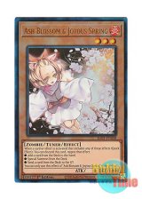 画像: 英語版 RA01-EN008 Ash Blossom & Joyous Spring 灰流うらら (プリズマティックアルティメットレア) 1st Edition