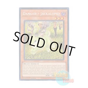 画像: 英語版 RA01-EN013 Danger!? Jackalope? 未界域のジャッカロープ (シークレットレア) 1st Edition