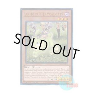 画像: 英語版 RA01-EN013 Danger!? Jackalope? 未界域のジャッカロープ (プリズマティックアルティメットレア) 1st Edition