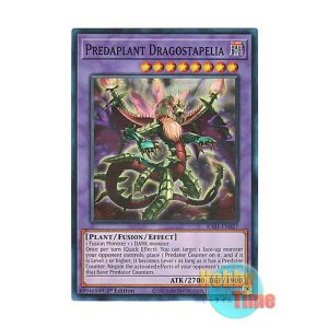 画像: 英語版 RA01-EN027 Predaplant Dragostapelia 捕食植物ドラゴスタペリア (スーパーレア) 1st Edition