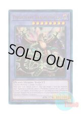 画像: 英語版 RA01-EN027 Predaplant Dragostapelia 捕食植物ドラゴスタペリア (プリズマティックアルティメットレア) 1st Edition