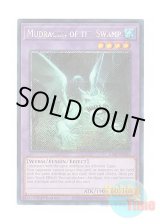 画像: 英語版 RA01-EN028 Mudragon of the Swamp 沼地のドロゴン (プラチナシークレットレア) 1st Edition