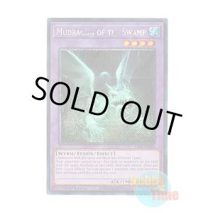 画像: 英語版 RA01-EN028 Mudragon of the Swamp 沼地のドロゴン (プラチナシークレットレア) 1st Edition